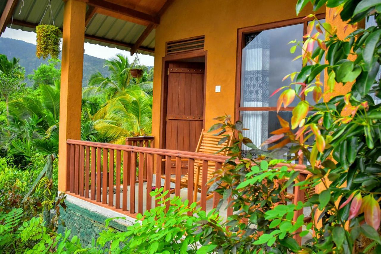 דניאיאה Rainforest Nature House מראה חיצוני תמונה