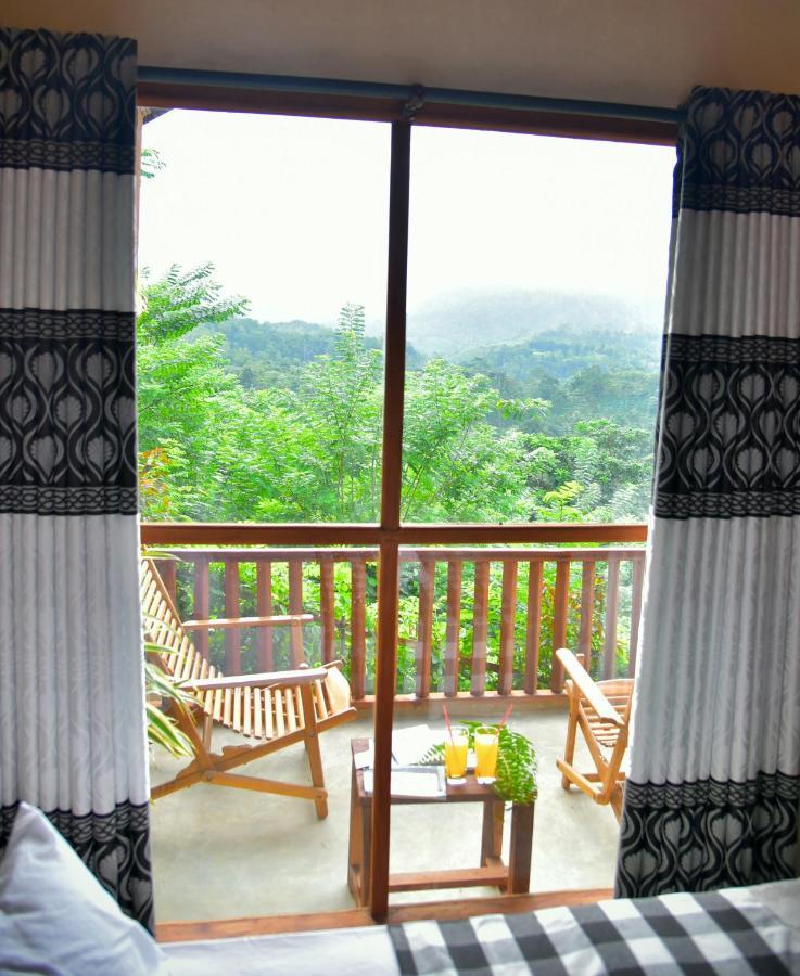 דניאיאה Rainforest Nature House מראה חיצוני תמונה