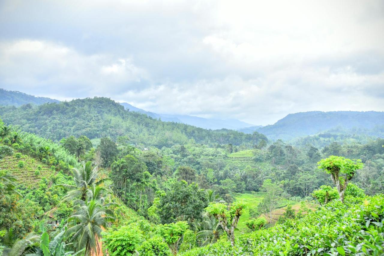 דניאיאה Rainforest Nature House מראה חיצוני תמונה