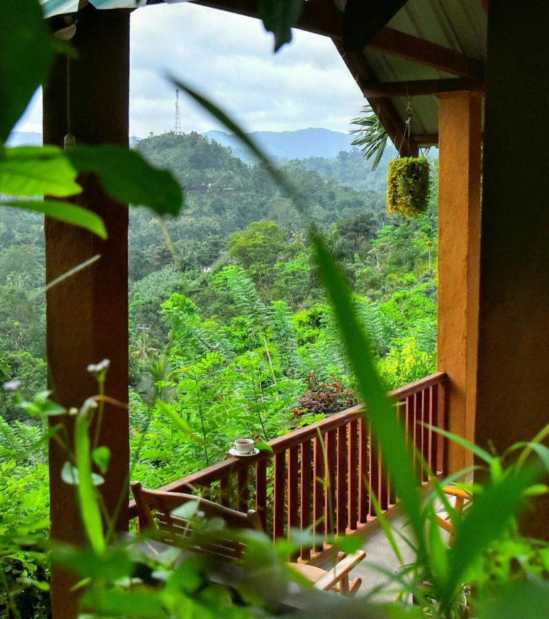 דניאיאה Rainforest Nature House מראה חיצוני תמונה