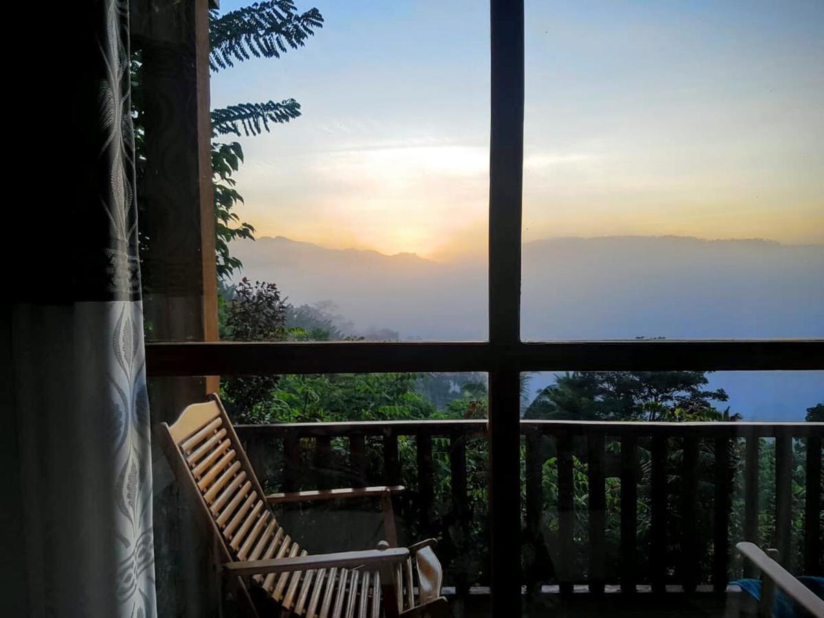 דניאיאה Rainforest Nature House מראה חיצוני תמונה