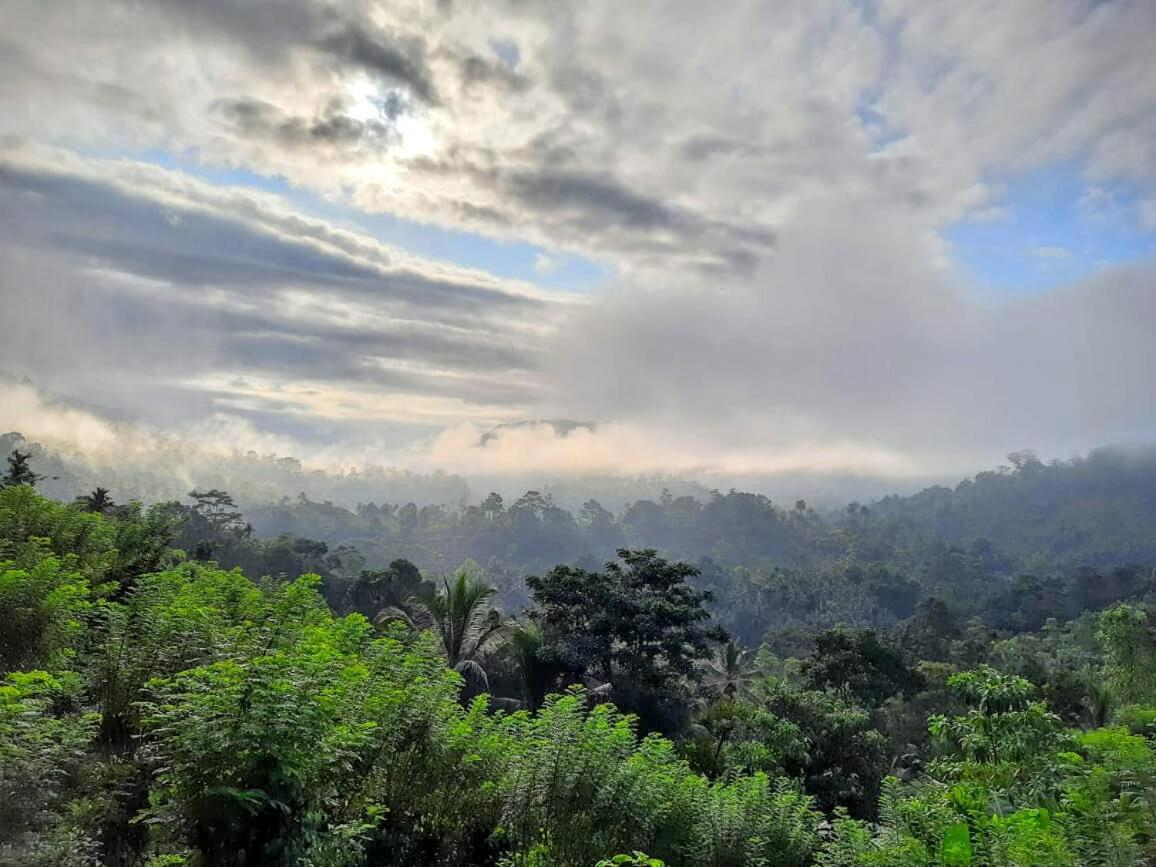 דניאיאה Rainforest Nature House מראה חיצוני תמונה