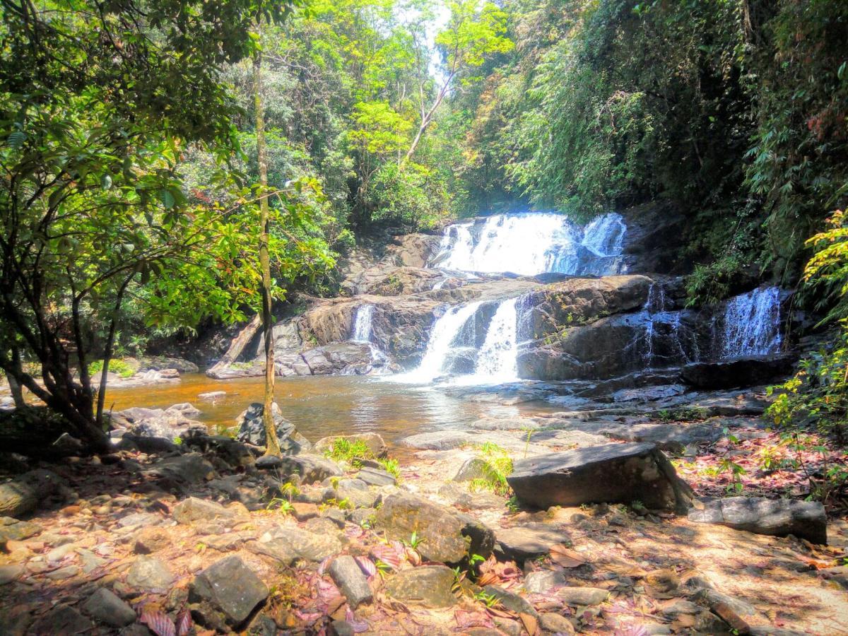 דניאיאה Rainforest Nature House מראה חיצוני תמונה
