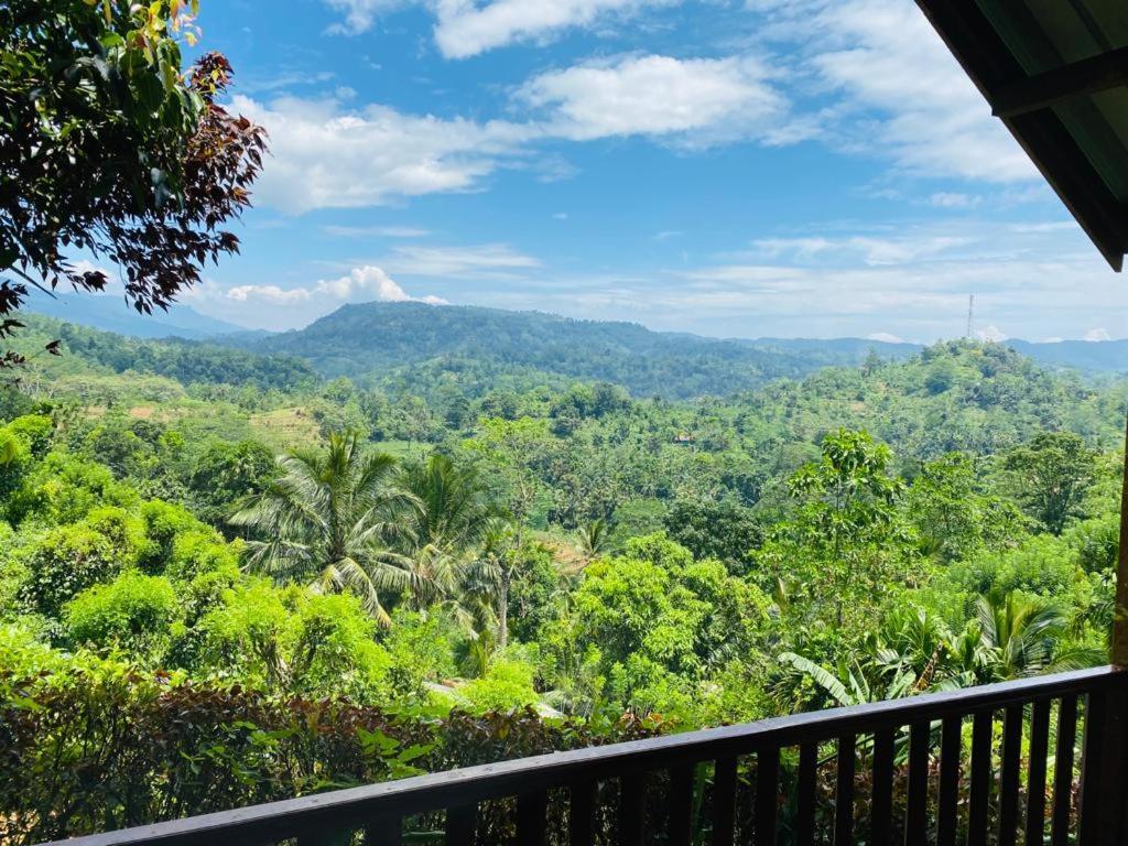 דניאיאה Rainforest Nature House מראה חיצוני תמונה