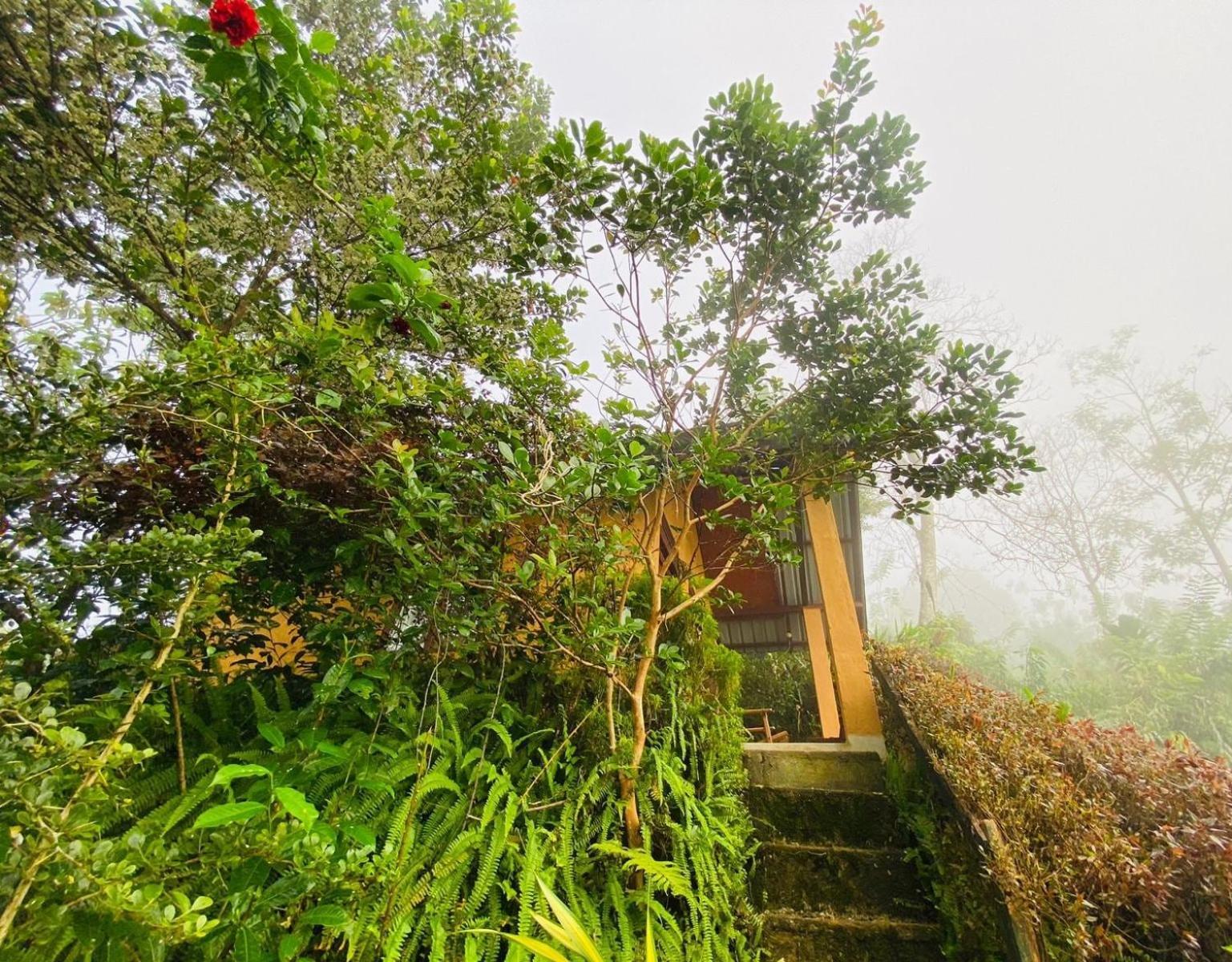 דניאיאה Rainforest Nature House חדר תמונה