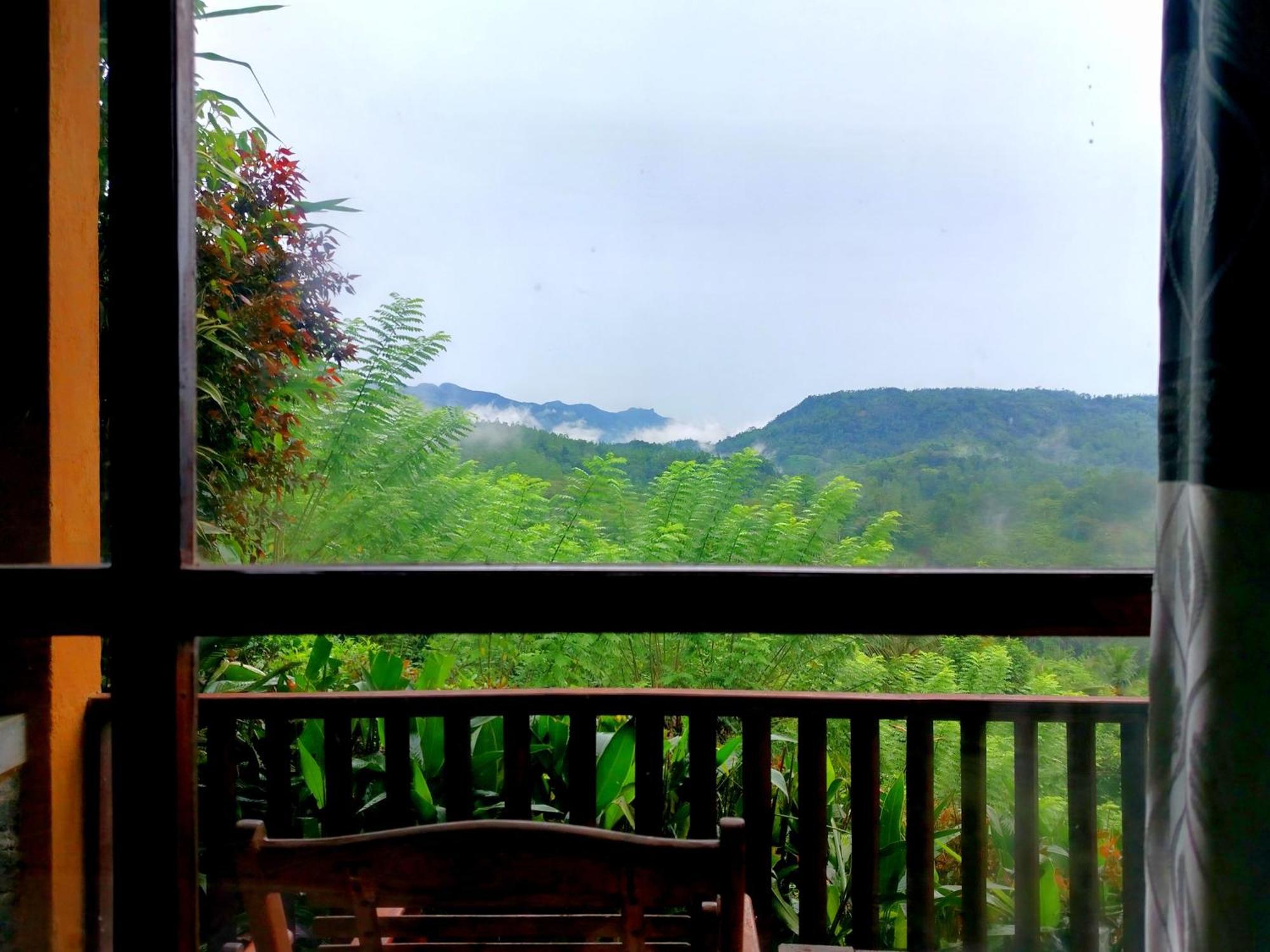 דניאיאה Rainforest Nature House חדר תמונה